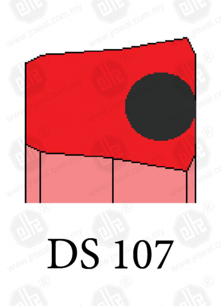 DS 107