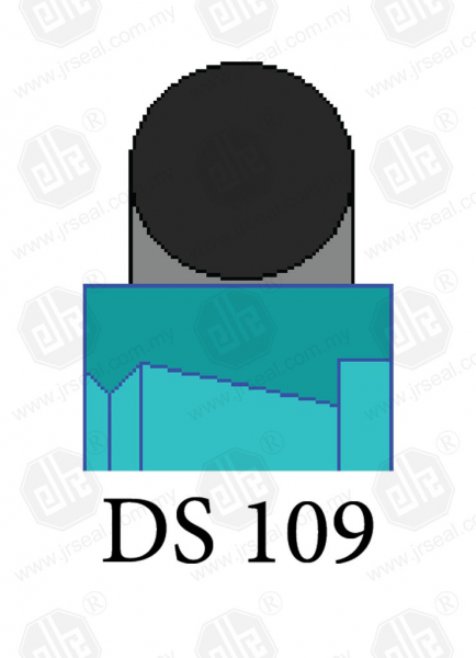 DS 109