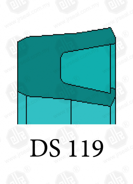 DS 119