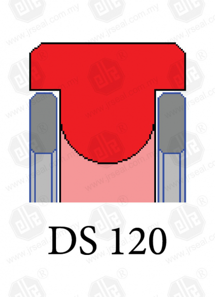 DS 120