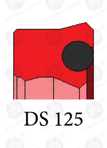 DS 125