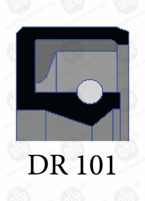 DR 101