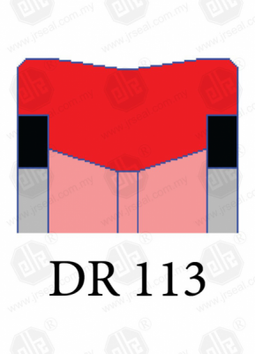 DR 113