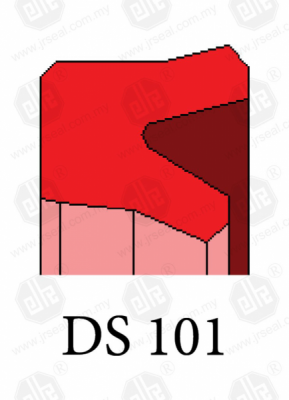 DS 101