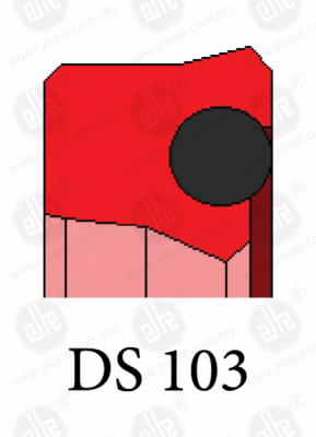 DS 103