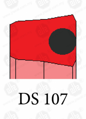 DS 107