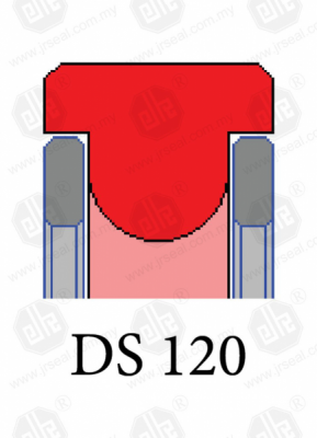 DS 120