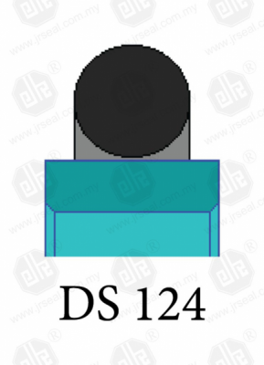DS 124