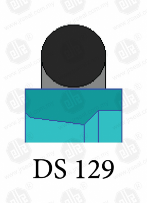DS 129