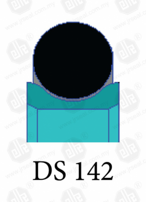 DS 142