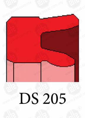 DS 205