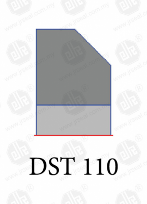 DST 110