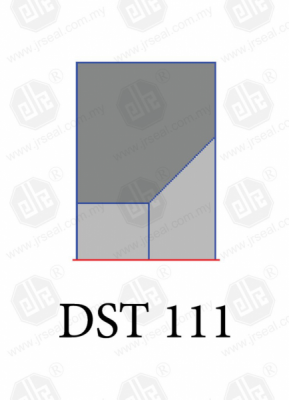 DST 111