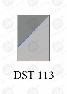 DST 113